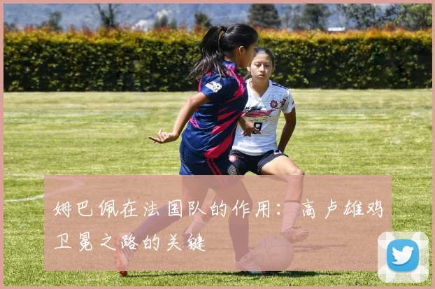 姆巴佩在法国队的作用：高卢雄鸡卫冕之路的关键